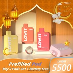 Elf Bar Rendelés Olcsón - ELFBAR előretöltött pod lowit 5500 puff 2%nic 6DL6ZV440 áfonyás jég